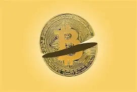 开发者社区动态显示，比特币迎来新一轮爆发的简单介绍