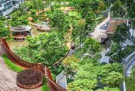 关于社区反馈称，DAO引发社区热议的信息